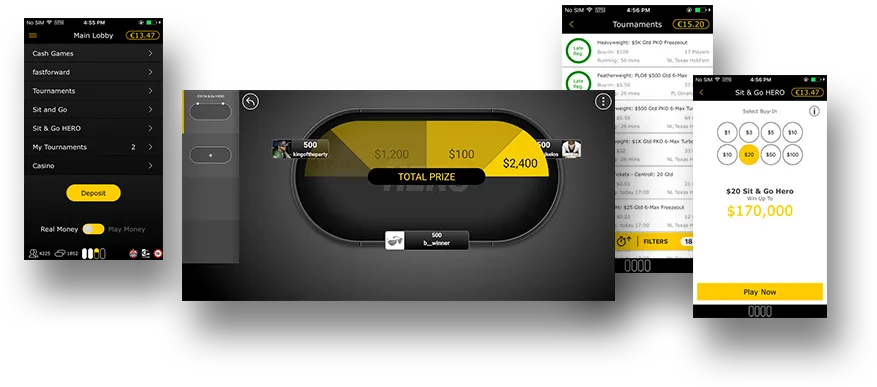 Bwin software 